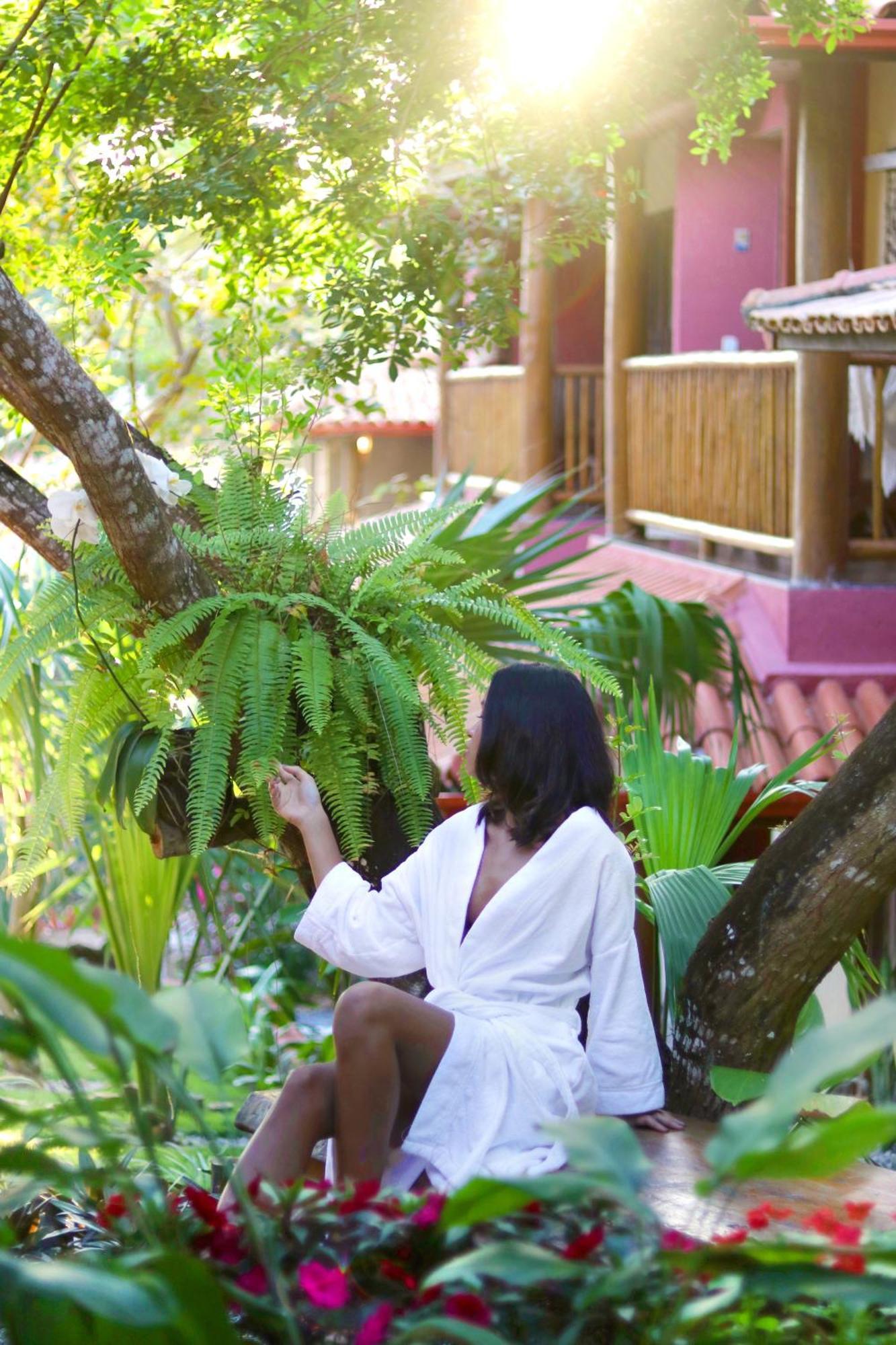 Paraiso Ecologico & Hotel Porto Seguro